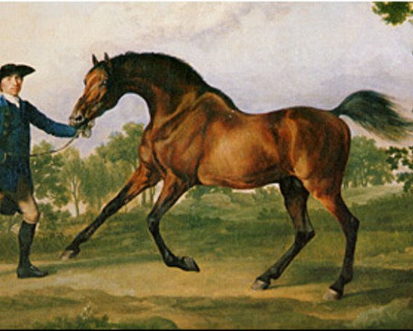 Pferd Blank xx (Englisches Vollblut, 1740, von Godolphin Arabian)