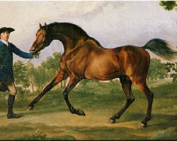 stallion Blank xx (Thoroughbred, 1740, from Godolphin Arabian)