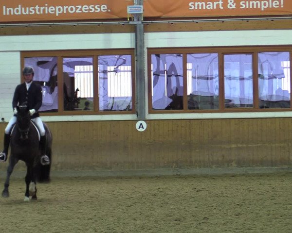 Reitturnier Appelhülsen 2022