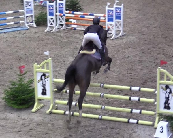 Reitturnier Leck 2022