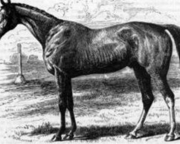 stallion Orlando xx (Thoroughbred, 1841, from Touchstone xx)