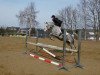 Springpferd Silver-moon (Polnisches Warmblut, 2000, von Pluto)