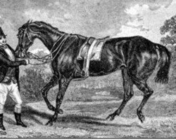 broodmare Industry xx (Thoroughbred, 1835, from Priam xx)