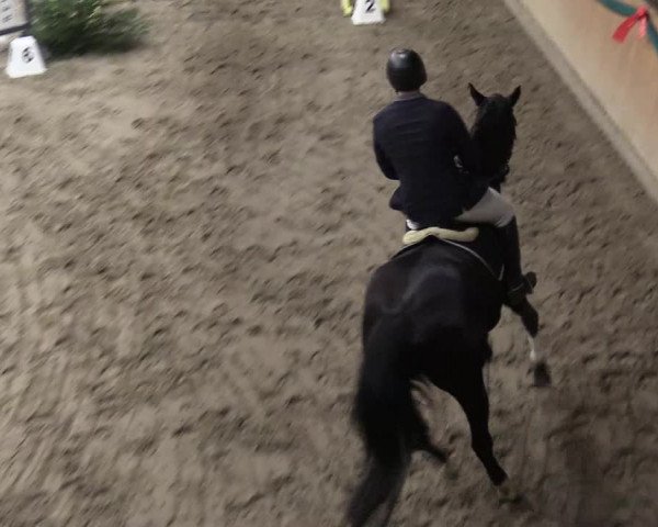 Reitturnier Leck 2022