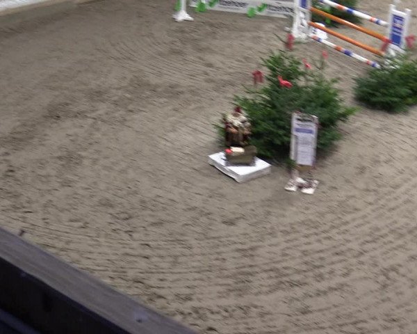 Reitturnier Leck 2022