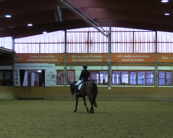 Reitturnier Appelhülsen 2022