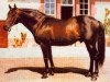 stallion Sir Gaylord xx (Thoroughbred, 1959, from Turn-To xx)