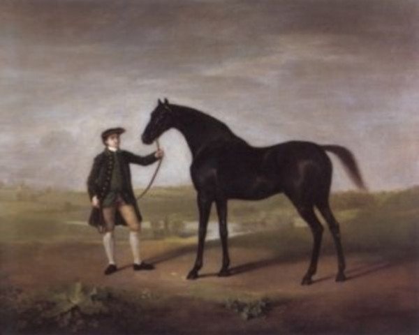 Pferd Snap xx (Englisches Vollblut, 1750, von Snip xx)