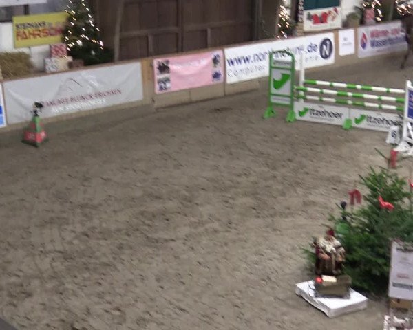 Reitturnier Leck 2022