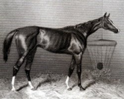 broodmare Regalia xx (Thoroughbred, 1862, from Stockwell xx)