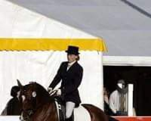 Zuchtstute Delta Dawn NH (Deutsches Reitpony, 2000, von Mauricio T)