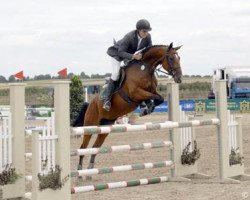 broodmare Pilata (Zweibrücken, 2003, from Polytraum)