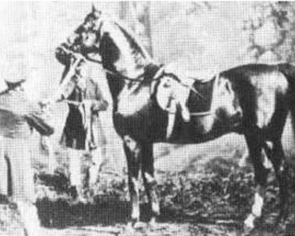 stallion Friponnier xx (Thoroughbred, 1864, from Chevalier d'Industrie xx)
