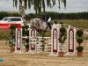 jumper Le Joly 3 (Zangersheide riding horse, 2015, from Lyjanero)
