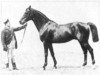 stallion Marsworth xx (Thoroughbred, 1871, from King Tom xx)