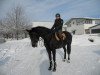 broodmare Belle Marie (Oldenburg show jumper, 2004, from Balou du Rouet)