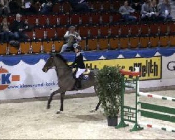 Springpferd Double O Seven 6 (Schwedisches Warmblut, 2001, von Carnute)