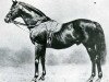 horse Galopin xx (Thoroughbred, 1872, from Vedette xx)
