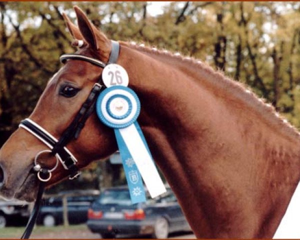 stallion Rosso di Sera (Bavarian, 1996, from Rubinstein I)