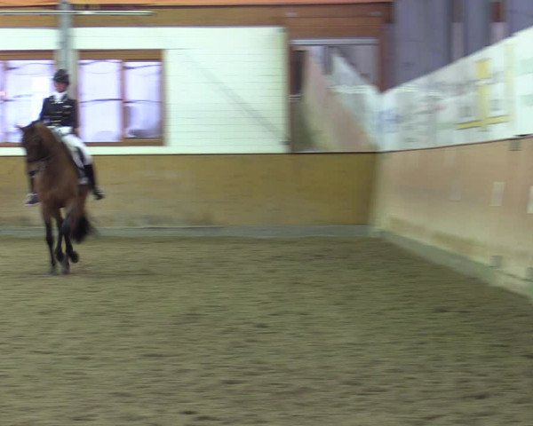 Reitturnier Appelhülsen 2022