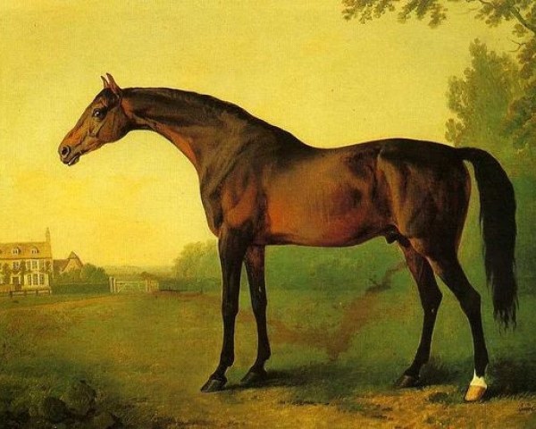 Pferd Highflyer xx (Englisches Vollblut, 1774, von Herod xx)
