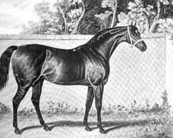 stallion Emilius xx (Thoroughbred, 1820, from Orville xx)