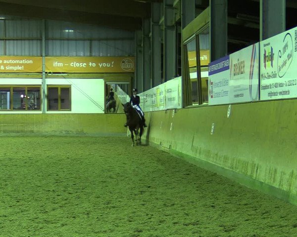 Reitturnier Appelhülsen 2022