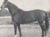 stallion Lothar (Trakehner, 1960, from Julmond)