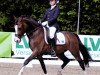 dressage horse Steverheides Wolfstanz (German Riding Pony, 2001, from Werwolf)