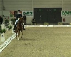 dressage horse Flavio Go (Trakehner, 2003, from Maizauber)