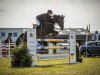 jumper Jayomara (KWPN (Royal Dutch Sporthorse), 2014, from Hamlet)