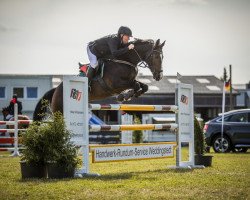 jumper Jayomara (KWPN (Royal Dutch Sporthorse), 2014, from Hamlet)