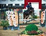 jumper Mellow 7 (anglo european sporthorse, 2017, from Humberto Ask)