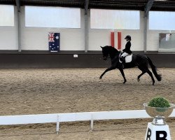 dressage horse Hope For The Future (Rhinelander, 2008, from Hotline)