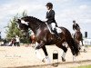 dressage horse Little Rouletto (Württemberger, 2013, from Little Charly)