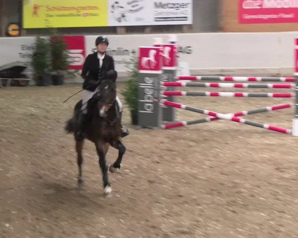 Reitturnier Henau 2022
