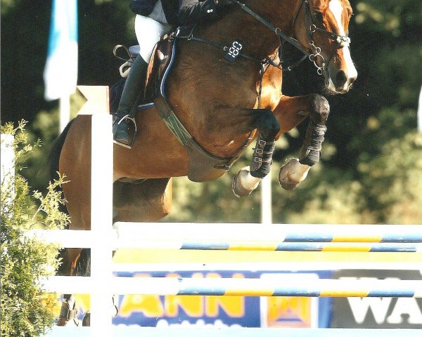 jumper D'Artagnon 25 (KWPN (Royal Dutch Sporthorse), 1990, from Dublin)