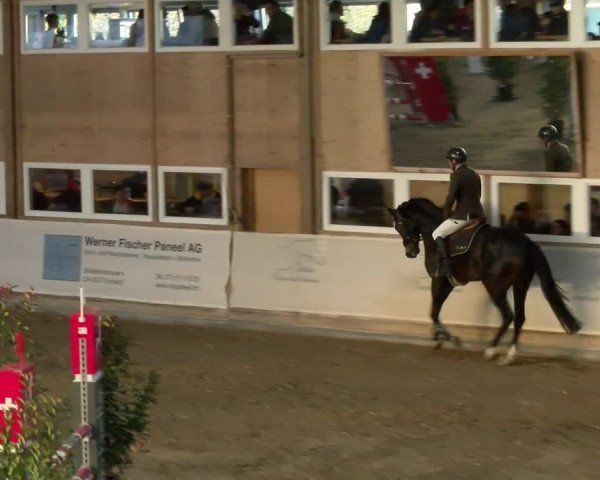 Reitturnier Henau 2022