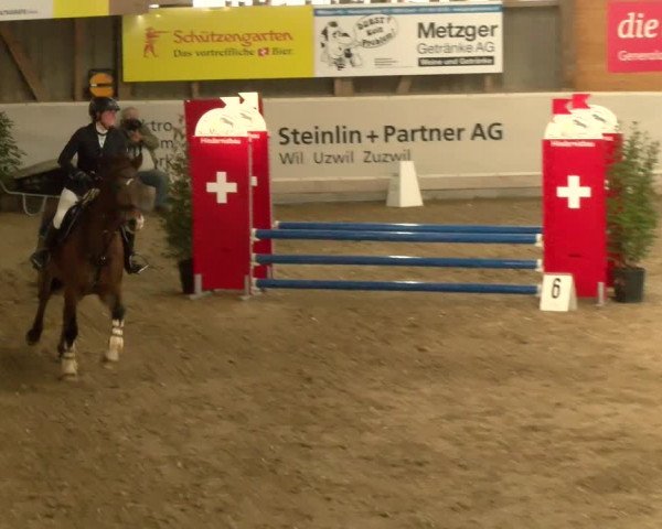 Reitturnier Henau 2022