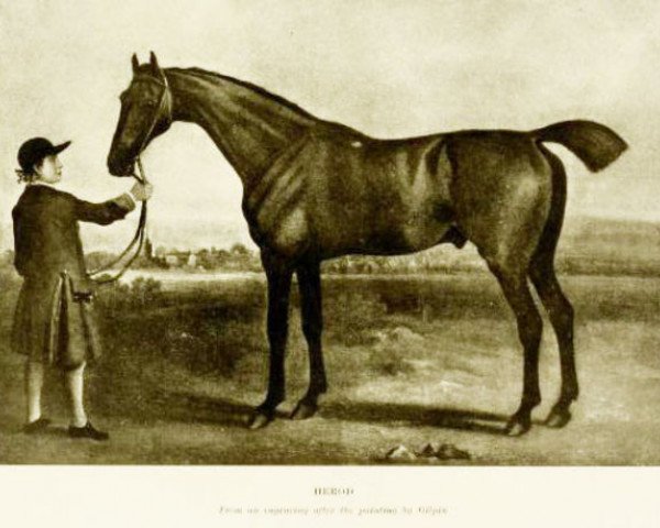Pferd Herod xx (Englisches Vollblut, 1758, von Tartar xx)