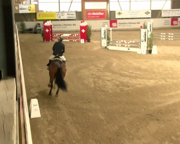 Reitturnier Henau 2022