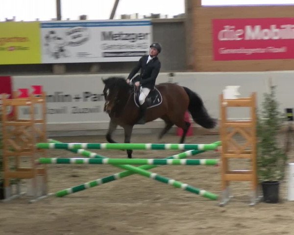 Reitturnier Henau 2022