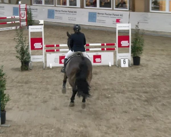 Reitturnier Henau 2022