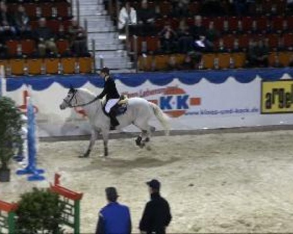 jumper Irco's Lando (KWPN (Royal Dutch Sporthorse), 2002, from VDL Orame)