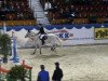 Springpferd Irco's Lando (KWPN (Niederländisches Warmblut), 2002, von VDL Orame)