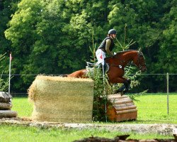 horse NiViPaDo Isabelle (Oldenburg, 2003, from In Extenso)