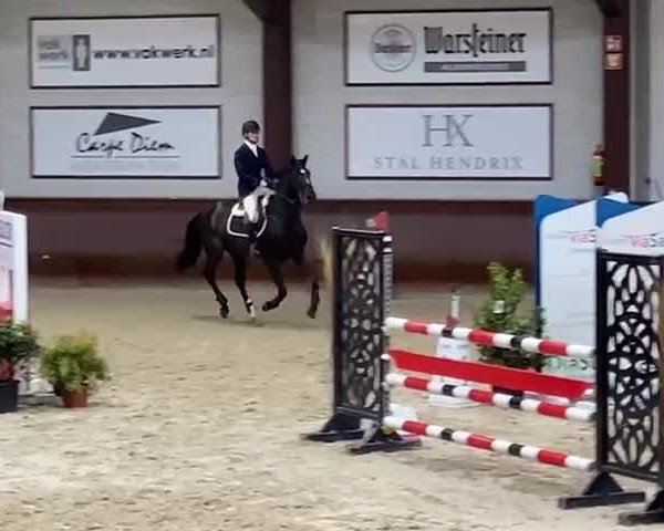 Video of Get It Easy DK