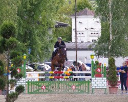 jumper Cerro de Pasco (Oldenburg show jumper, 2006, from Chambertin)