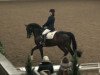 dressage horse Marquis Monet (Westphalian, 2001, from Münchhausen)