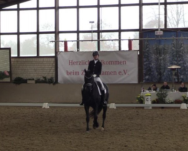 Reitturnier Kamen 2022